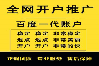 SEM代理助力企业：案例分享，优化策略全解析